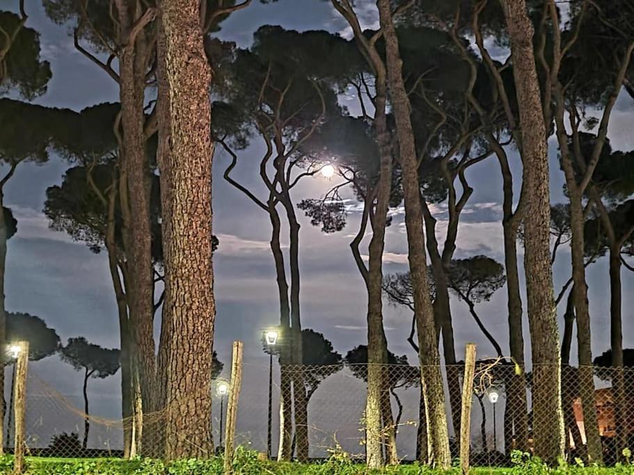 Villa La Casa Della Pineta Roma Exterior foto